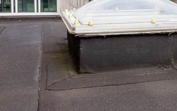 disadvantages of Pentrer Beirdd flat roofs