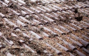 Pentrer Beirdd roof cleaning companies