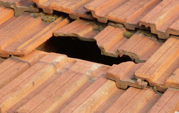 roof repair Pentrer Beirdd, Powys